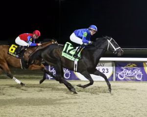 Encino winning the John Battaglia Memorial S. at Turfway Park (Photo by Coady Photography)